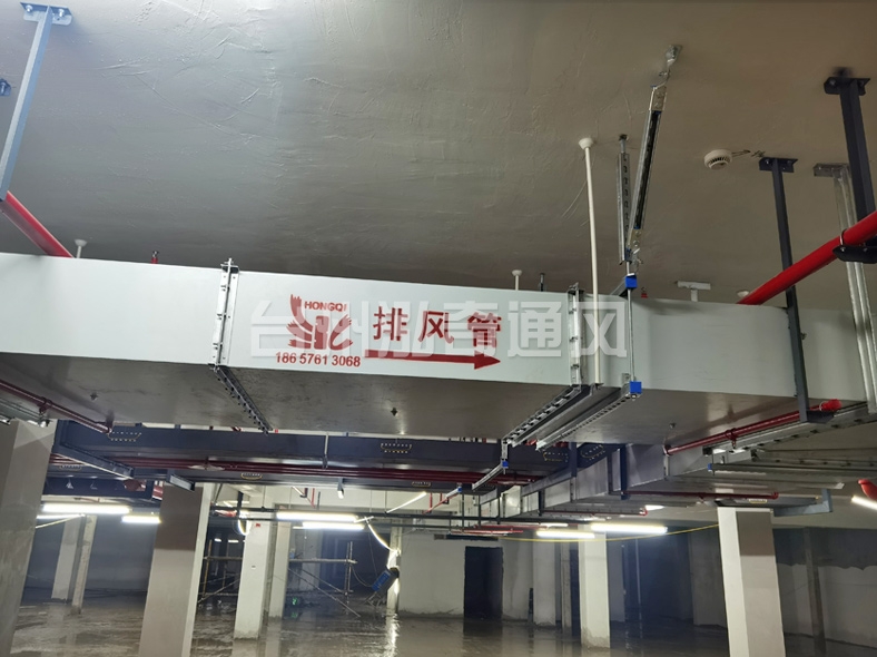 杏彩网